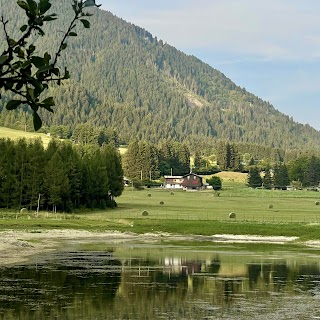 Lago giallo