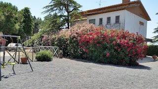 Agriturismo Casalino dei Francesi