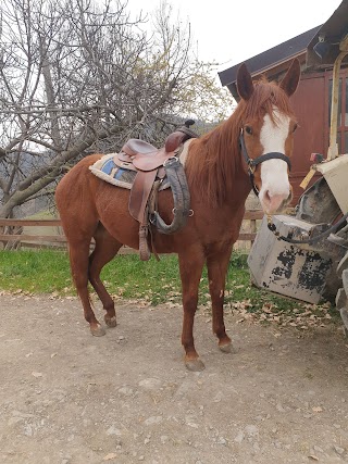 Maneggio Fil-ippo Castellaro Ranch