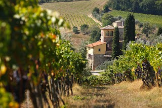 Poggio Rozzi - Toggenburg