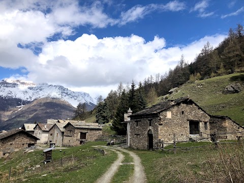 Parco naturale del Gran Bosco di Salbertrand