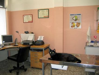 Ambulatorio Veterinario Rucellai Dott. Bevere