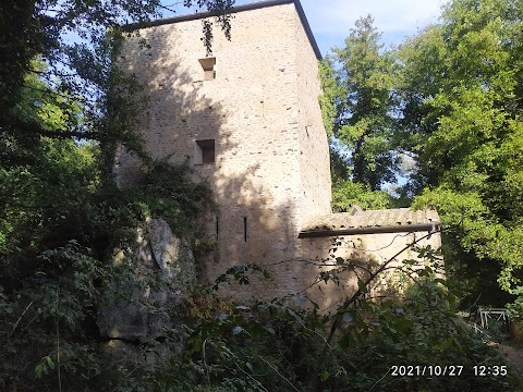 Cascate di Monte Gelato