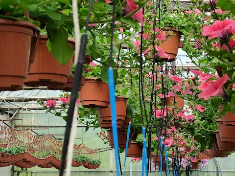 Floricoltura Monviso