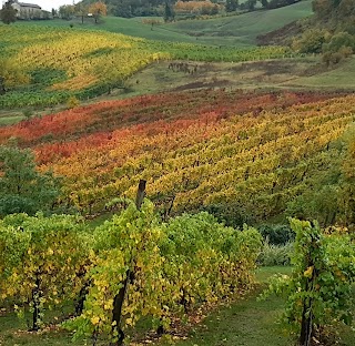 Antica trattoria della Bettola