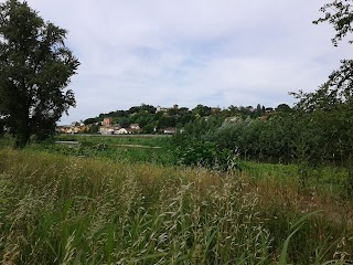 Società Semplice Agricola Ittica La Macchia