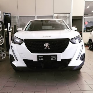 Peugeot MCDUE MOTORI SRL