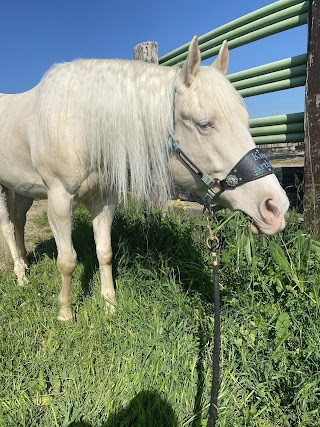 TAMBURINO RANCH