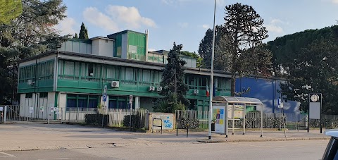 Scuola Secondaria di 1° Grado "Pier Cironi"