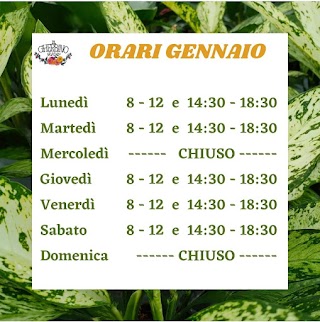 Vivaio Il Gherbino