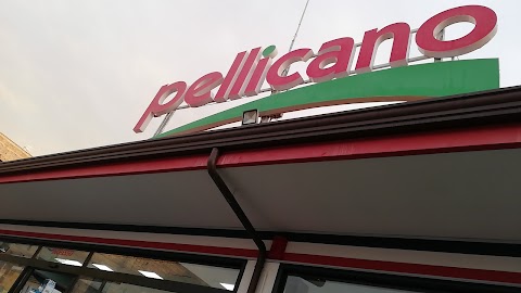 Pellicano