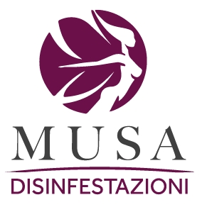 MUSA DISINFESTAZIONI DI YARI SPECA