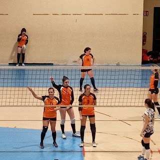 Billa Volley Team Milano
