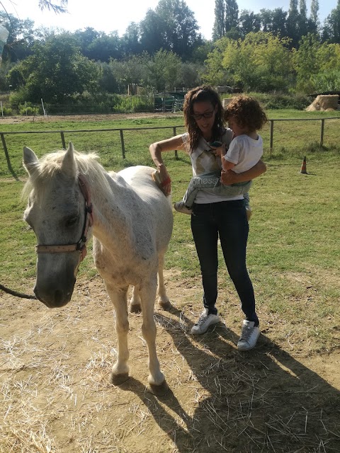 Il Ranch di Carlotta a.s.d.