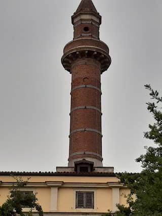 Università degli Studi di Pavia