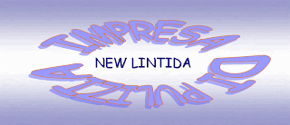 New Lintida srl