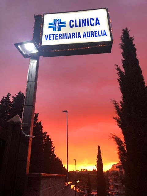 Clinica Veterinaria Aurelia