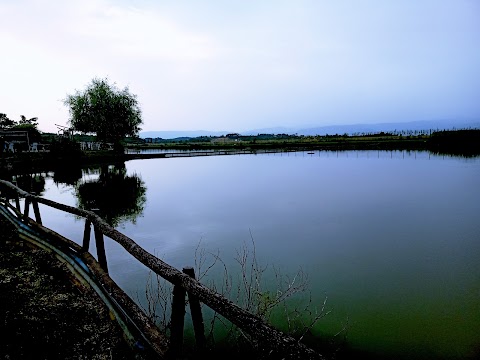 Lago I Salici di Piero Giotti