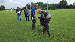 Team Working Dog Centro Addestramento Cinofilo di Angelo Taddei