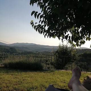 Agriturismo il Fattoio alle RIPE