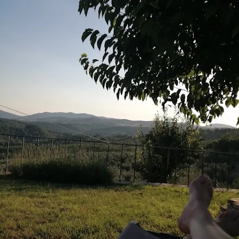 Agriturismo il Fattoio alle RIPE