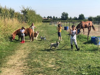 Quarterland Scuola di Equitazione