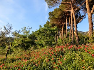 Agriturismo Cuca