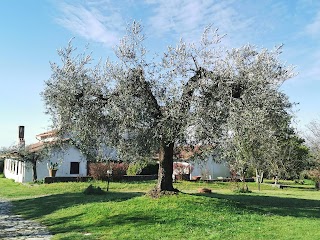 Casa Vacanze Villa Prato Amato