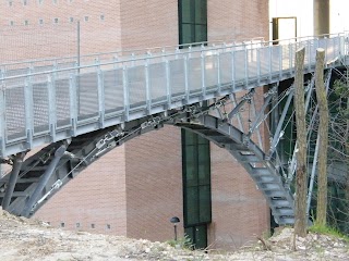 Università degli Studi di Perugia - Facoltà di Medicina e Chirurgia