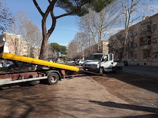 Soccorso Stradale, Carroattrezzi, Autofficina Palluzzi