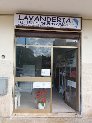 Lavanderia arenella self service delfino curioso