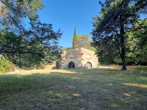 Riserva Naturale Foresta di Berignone