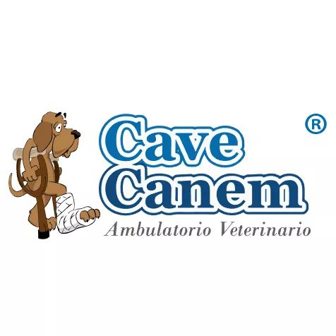 Cave Canem