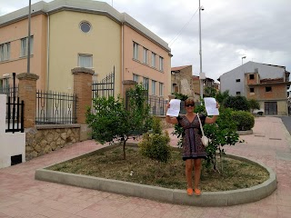 Istituto di Vigilanza Sicurezza Italia S.r.l.