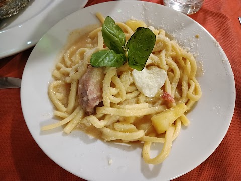 Trattoria Napoli Notte