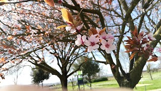 Giardini di Ugnano