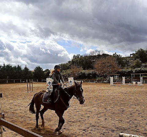 CIRCOLO IPPICO IL CILIEGIO - scuola di equitazione, Pony games, organizzazione compleanni a tema