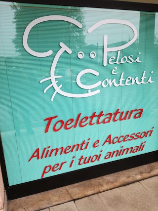 Toelettatura Pelosi E Contenti