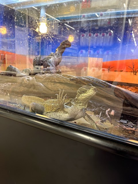 Zoomiguana Il Megastore Degli Animali