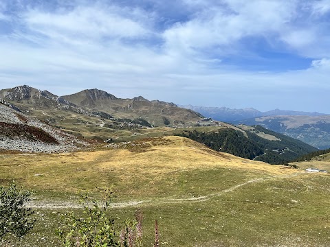 Les cristaux de la plagne