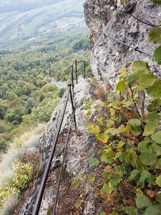 Bars d’la Tajola