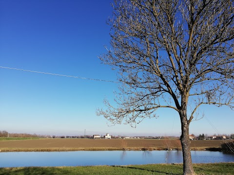 Ecomuseo dell'acqua e Area di Riequilibrio Ecologico "Dosolo"