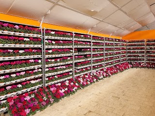 Il Giardino dei Fiori di Vino Antonella