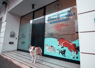 Centro Lombardo di Osteopatia Animale e Biorisonanza Di Arianna Viganò