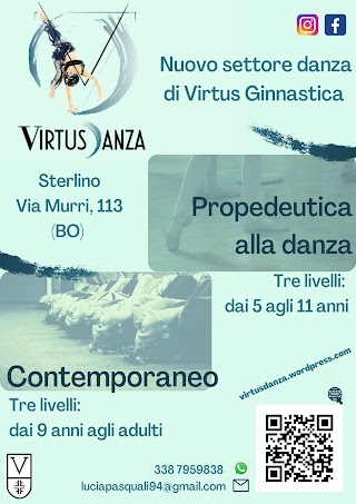 VirtusDanza