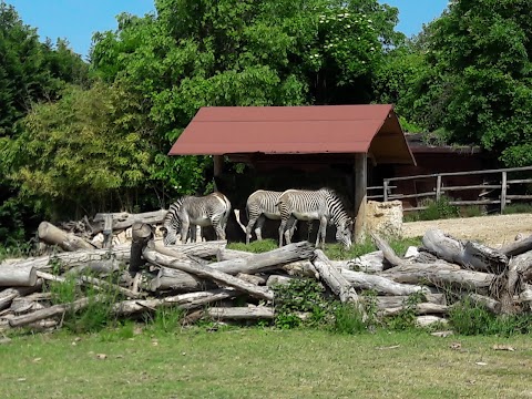 Parco Zoo Natura Viva A