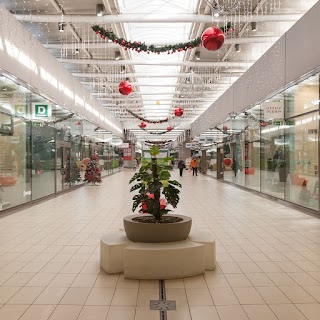 Centro Commerciale Ligabue