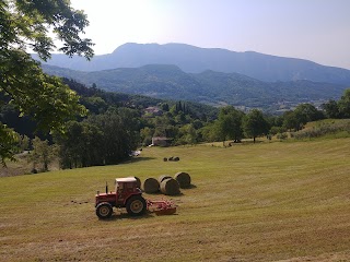 Agriturismo Lusani