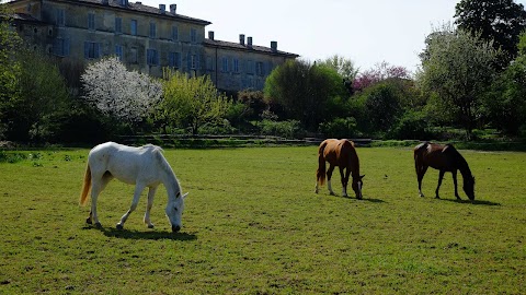 Scuola di Equitazione San Clemente