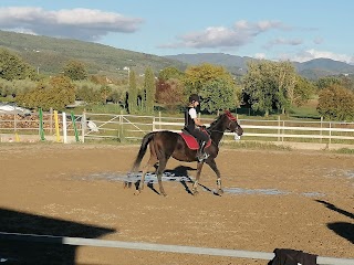 Centro ippico Picchio Ranch